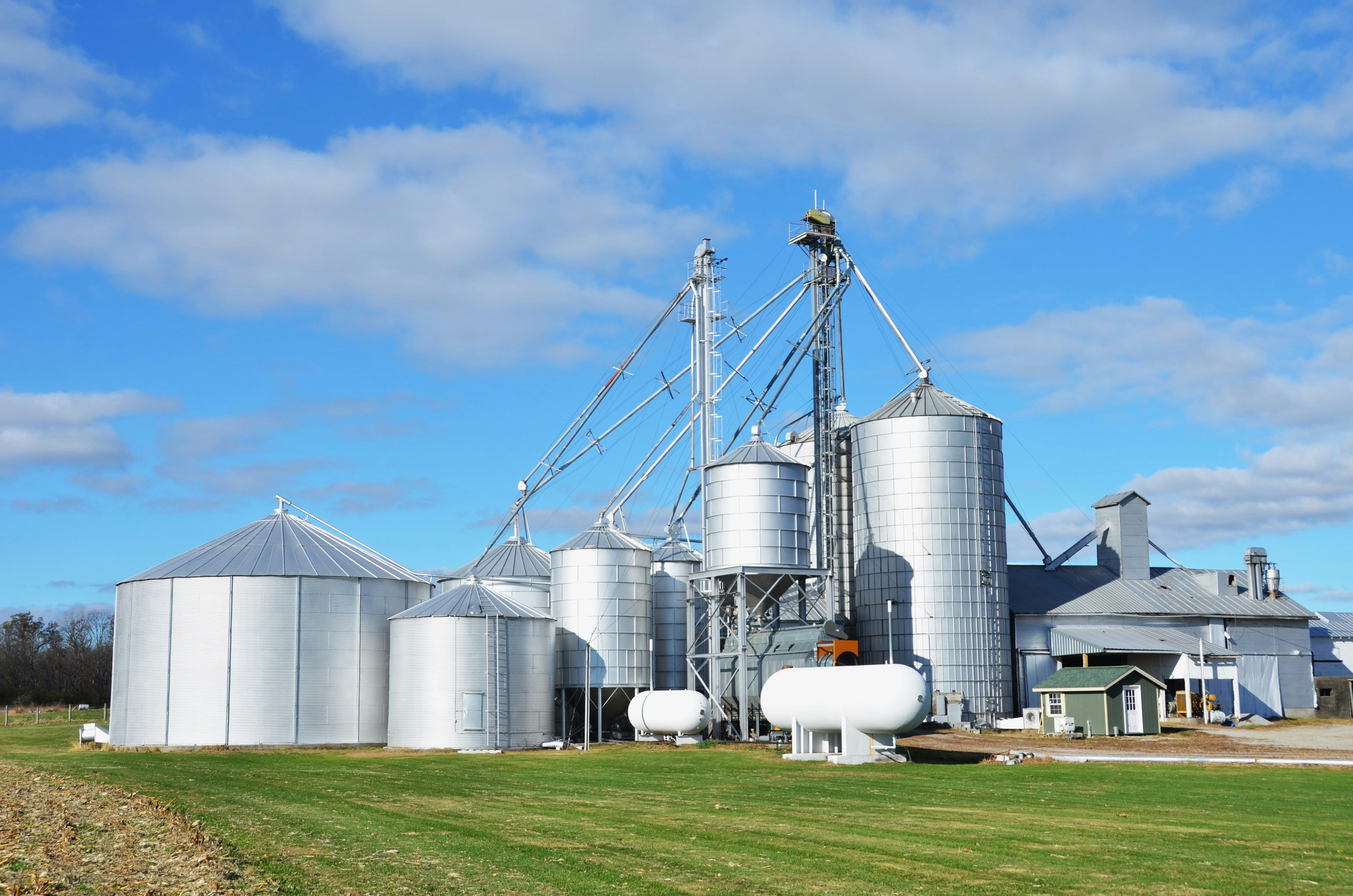 Agricultural processing